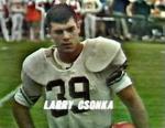 Larry Csonka