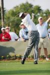 Vijay Singh