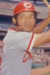 Bob Tolan