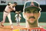 Michael A (Mike) Witt
