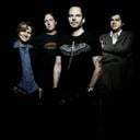  Gin Blossoms