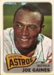 Joe Gaines