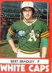 Bert Bradley