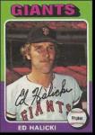 Ed Halicki
