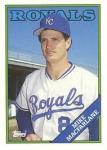 Mike Macfarlane