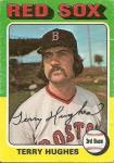 Terry Hughes
