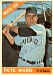 Pete Ward