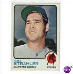 Mike Strahler
