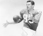 Glenn Bass