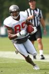 David Boston