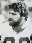 Don Macek