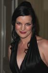 Pauley Perrette