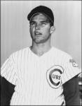 Bob Raudman
