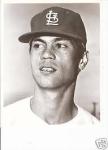 John Sipin