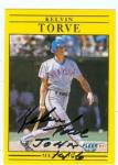 Kelvin Torve