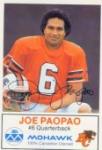 Joe Paopao