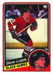 Steve  Ludzik
